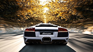 silver Lamborghini time lapse photo