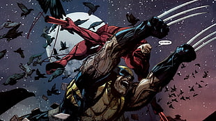 Daredevil, Wolverine, Marvel Comics HD wallpaper