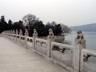 gray foo dog statuette themed bridge during daytime photo