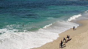 people on beach