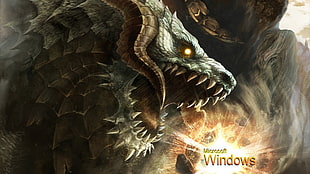 Microsoft Windows digital wallpaper, RPG, dragon