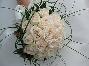 white bouquet rose flower HD wallpaper