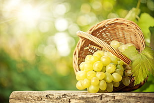 green grapes in brown wicker basket HD wallpaper