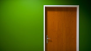 brown wooden door, door HD wallpaper
