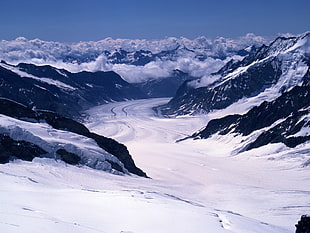 mountain filled with snow