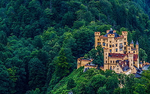white and blue castle, city, castle, Hohenschwangau, Schloss Hohenschwangau HD wallpaper