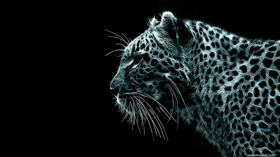 jaguar illustration, animals HD wallpaper