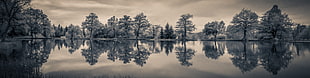reflection photography of trees under gray sky HD wallpaper