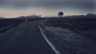 gray asphalt road