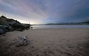 gray sand, landscape, ventura beach HD wallpaper