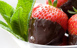 chocolate dip strawberries HD wallpaper