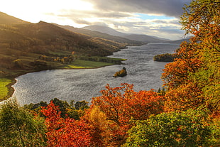 trees beside a river and mountains at daytime, loch tummel HD wallpaper