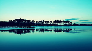 body of water photo during daytime