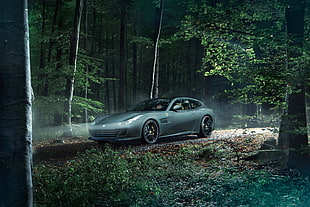 gray Ferrari 3-door hatchback surrounded by trees HD wallpaper