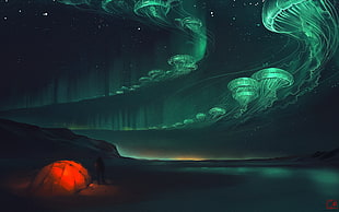 jelly fish aurora borialis HD wallpaper
