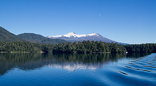 green leafed trees, nature, lake, mountains, landscape