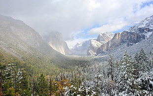 mountains under gray cloudy sky during daytime