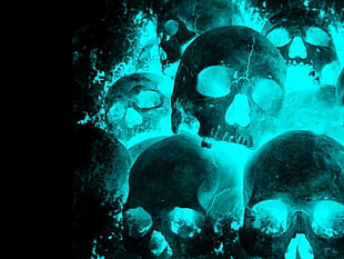 glow in the dark skull HD wallpaper