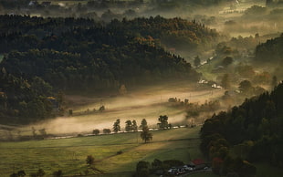 mountain rage view, landscape, nature, mist, valley HD wallpaper