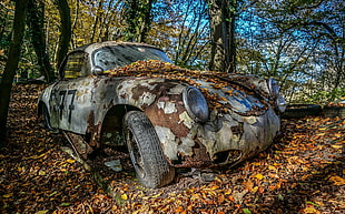 gray coupe, trees, car, vehicle, wreck HD wallpaper