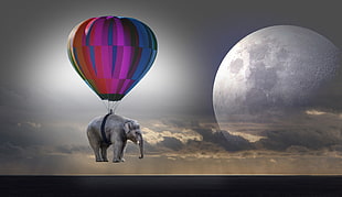 landscape photo of elephant hanged on hot air balloon during night time HD wallpaper