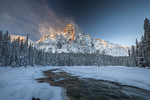 snowy mountain, nature, landscape, mountains, snow