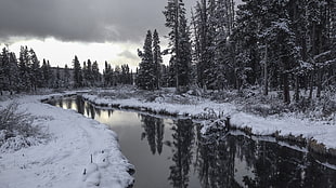 body of water, Yellowstone National Park, USA, winter, river HD wallpaper