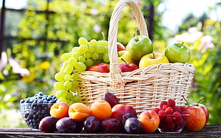 bundle of fruits, food, lunch HD wallpaper
