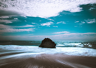 brown rock, nature, water, beach, rock