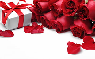 bunch of red Roses beside gift box HD wallpaper