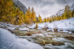 river with brown trees and soil cover with snow painting