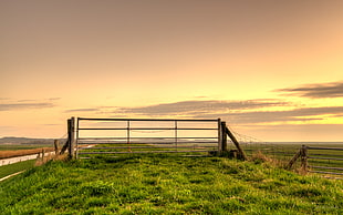 photography of brown wooden fence surrounded by green grass field during golden hour HD wallpaper