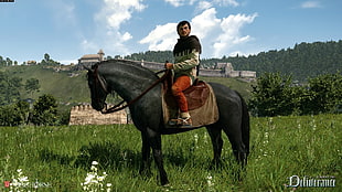 man riding on black horse HD wallpaper