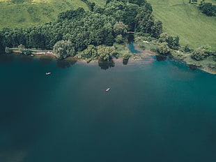 body of water, nature, water, trees