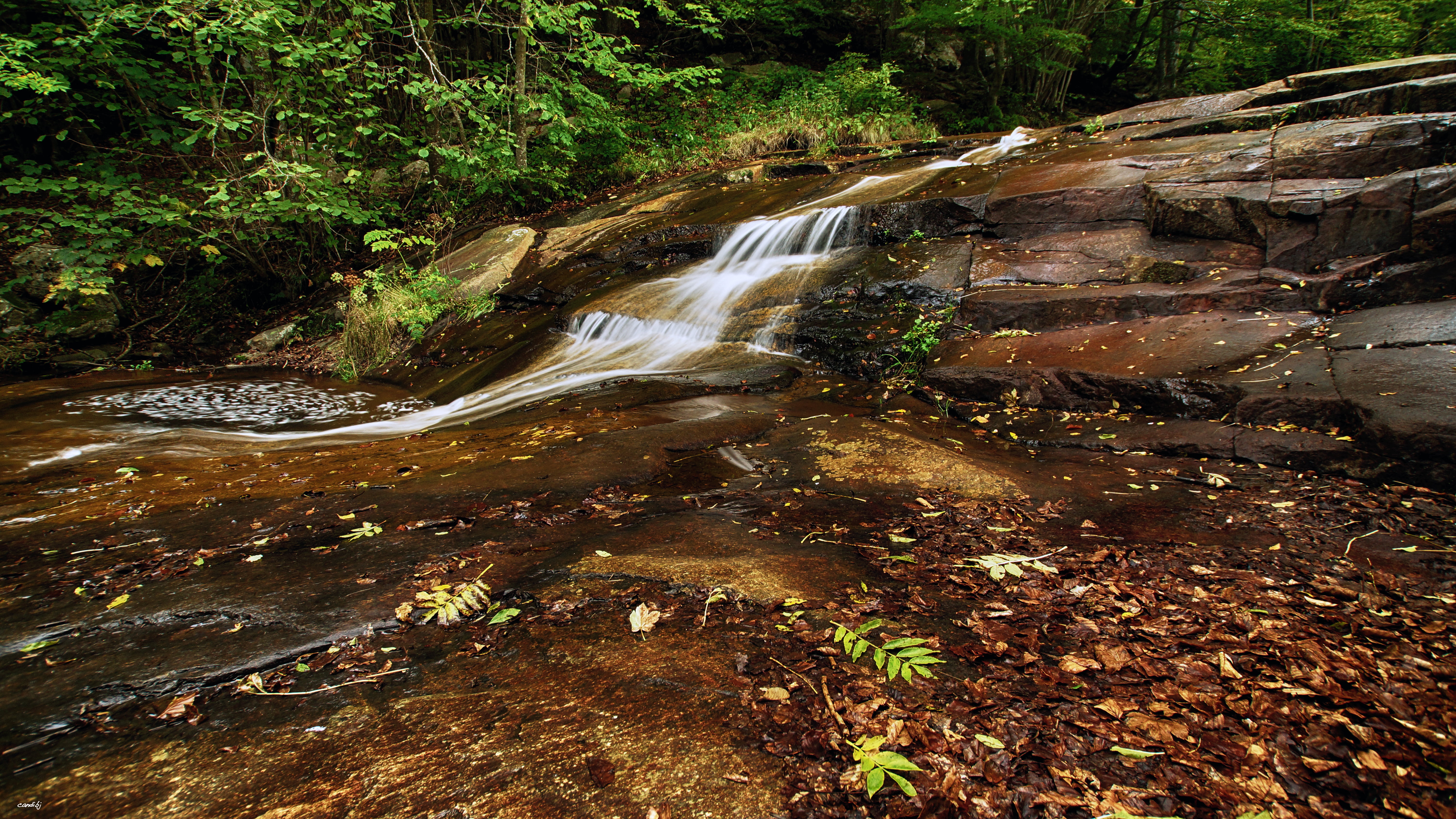 brown waterfall illustration