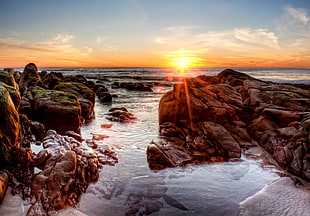 brown rock beside seashore during sunset, la jolla