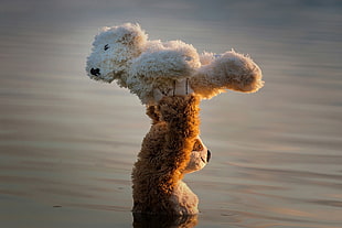 two bear toys, nature, teddy bears, water, Dirty Dancing