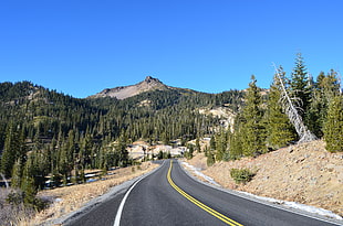 one point perspective road with pine trees and mountain, free highway HD wallpaper