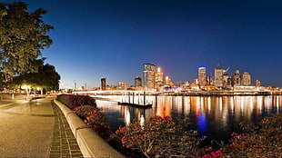 city skyline during night time, city, cityscape, lights, Brisbane HD wallpaper