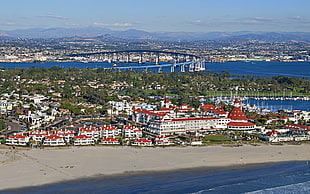 landscape photography of city during daytime