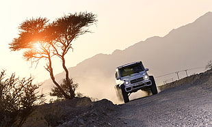 white vehicle, Gelenvagen, Mercedes-Benz G-Class, Mercedes-Benz, 6x6 HD wallpaper