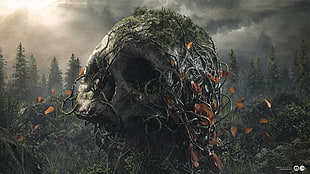 illustration of skull with vines