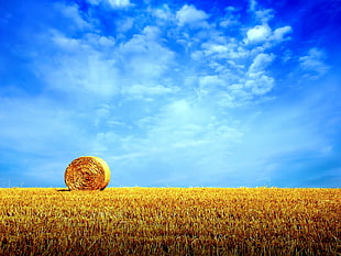 brown hays, straw, haystacks, nature, clouds