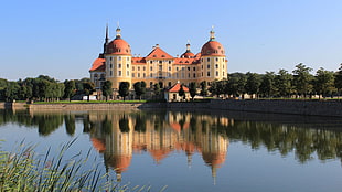 white and brown castle surrounded with trees under blue sky