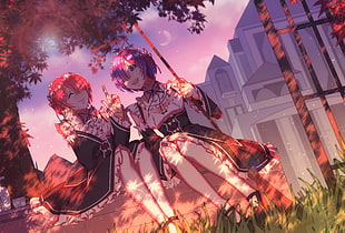 Ram and Rem from Re:Zero HD wallpaper