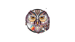 brown and white owl logo, owl HD wallpaper