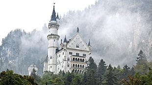 white and gray concrete cathedral near green trees