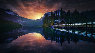 white and brown bridge on body of water during dawn