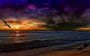 ocean during sunset HD wallpaper