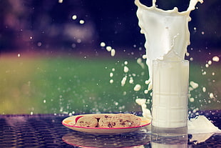 splashed milk beside a plate of chocolate chip cookies